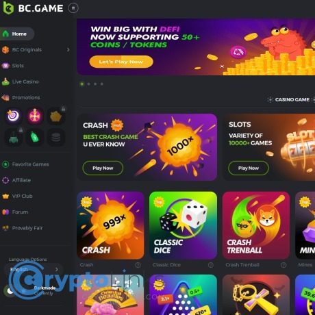 Explore the Diverse BC Game Payment Options Explore the Diverse BC Game Payment Options